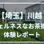【埼玉】都心から1時間！初夏の川越でウェルネスなお茶摘み体験レポート